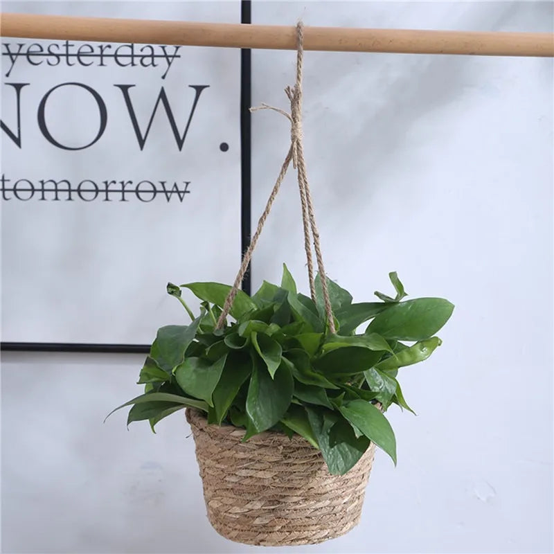 Macrame Hanging Planter