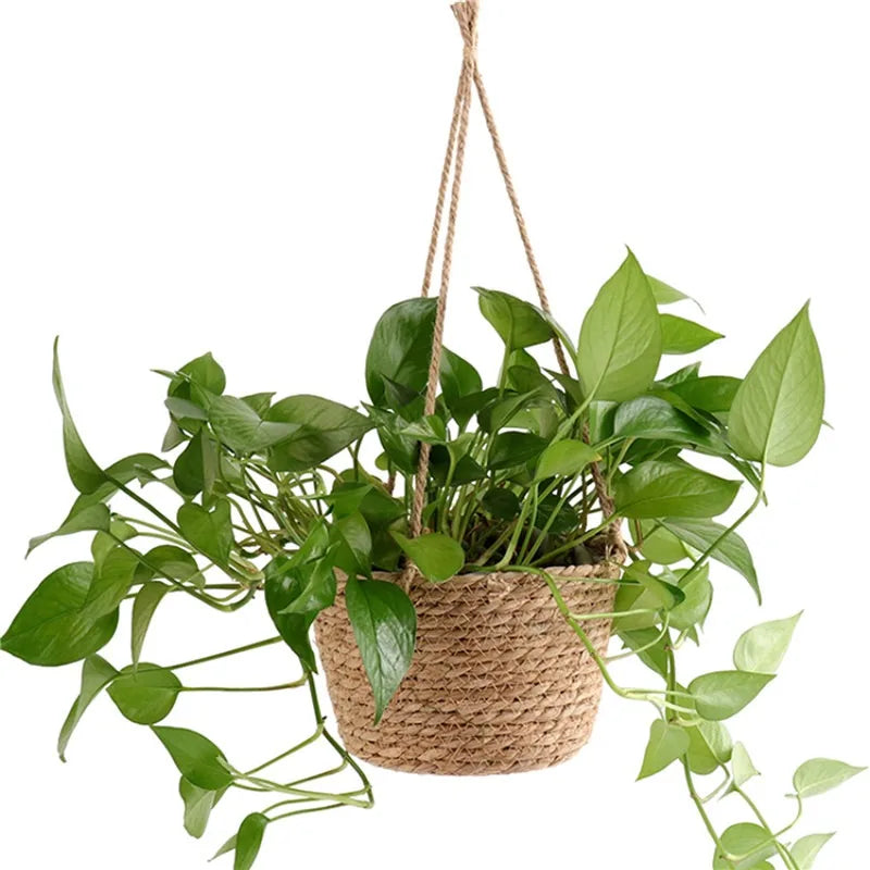Macrame Hanging Planter